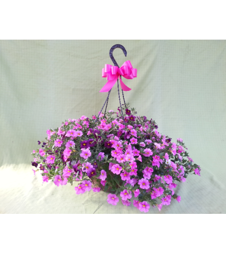 Sunny Flowering Hanging Basket of Fun!