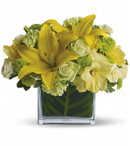 Oh Happy Day by Teleflora