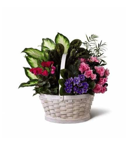 The FTD® Peaceful Garden™ Planter