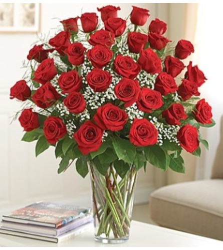 Ultimate Elegance - 3 dozen red roses