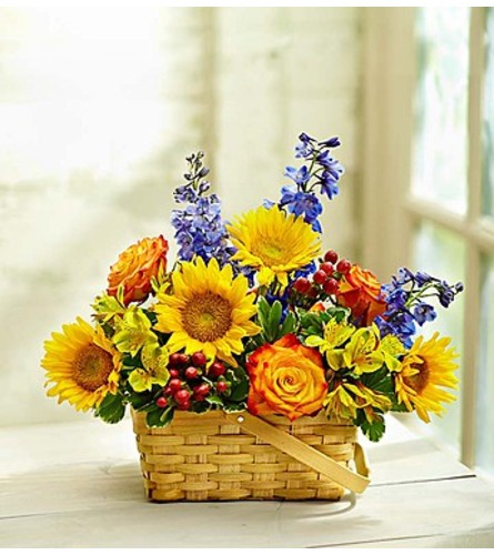 Blooming Basket Arrangement