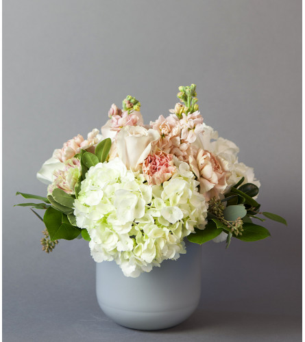 Forever Hydrangea Days