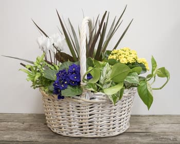 Willow Planter. An arrangement by The Flower Shop in the Village.
