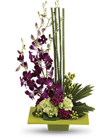 A Touch of Zen. An arrangement by Westchester Flowers and Gifts.
