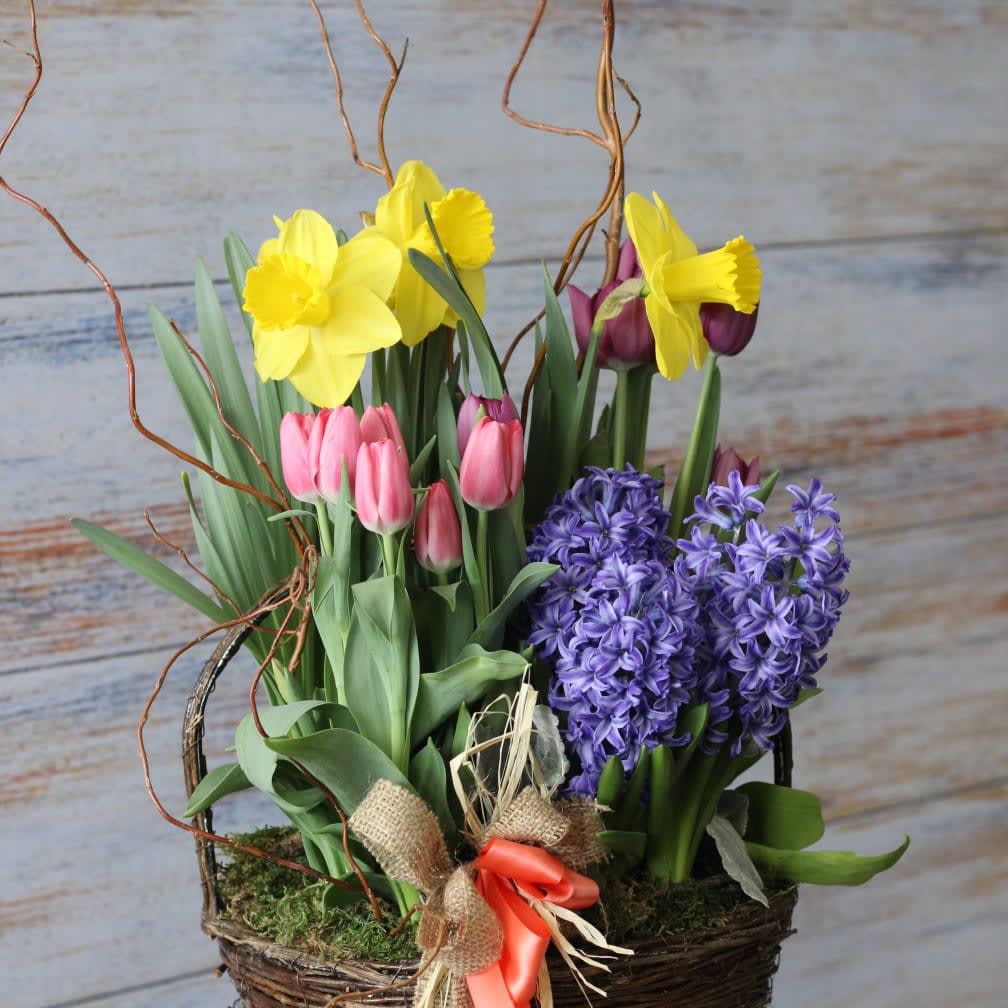 MXED live bulb BASKET MXED live bulb BASKET