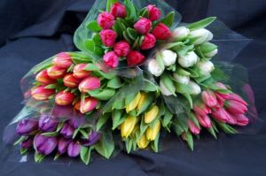 Wrapped Tulips 20 stems (2 colours)