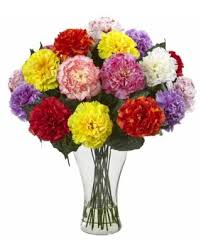 Carnations in a Glass Vase