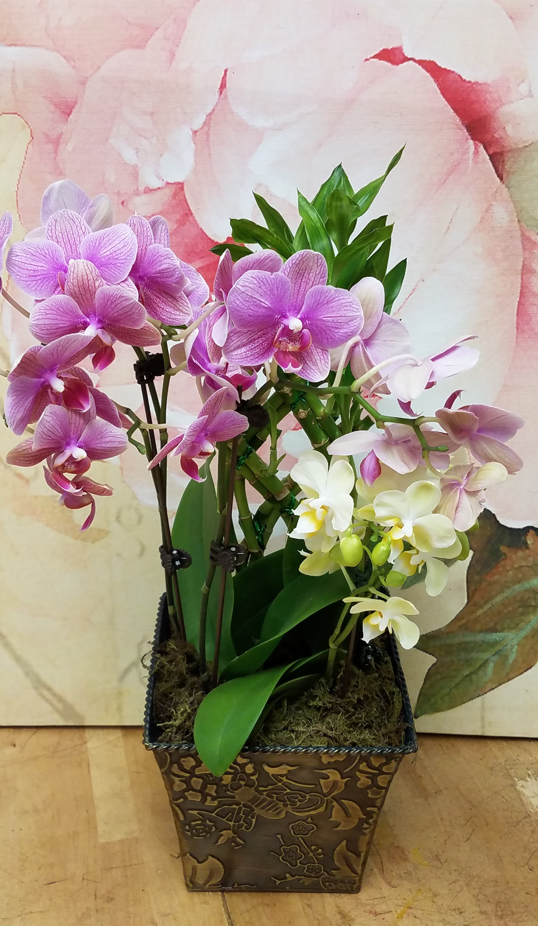 petite orchid garden by Twigs. An arrangement by Twigs Flower Company.