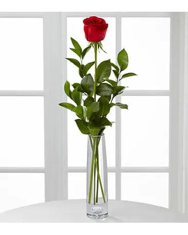 1 Rose Arranged in a Bud Vase. An arrangement by Sueppel's Flowers.
