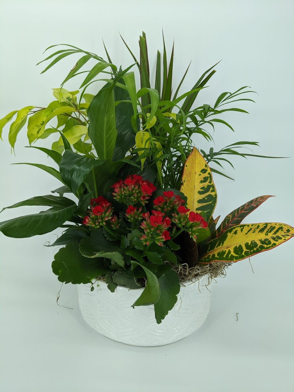 Blumz Planter. An arrangement by Blumz Floral Boutique.