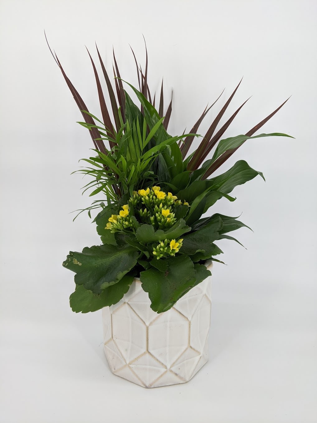 Blumz Planter. An arrangement by Blumz Floral Boutique.