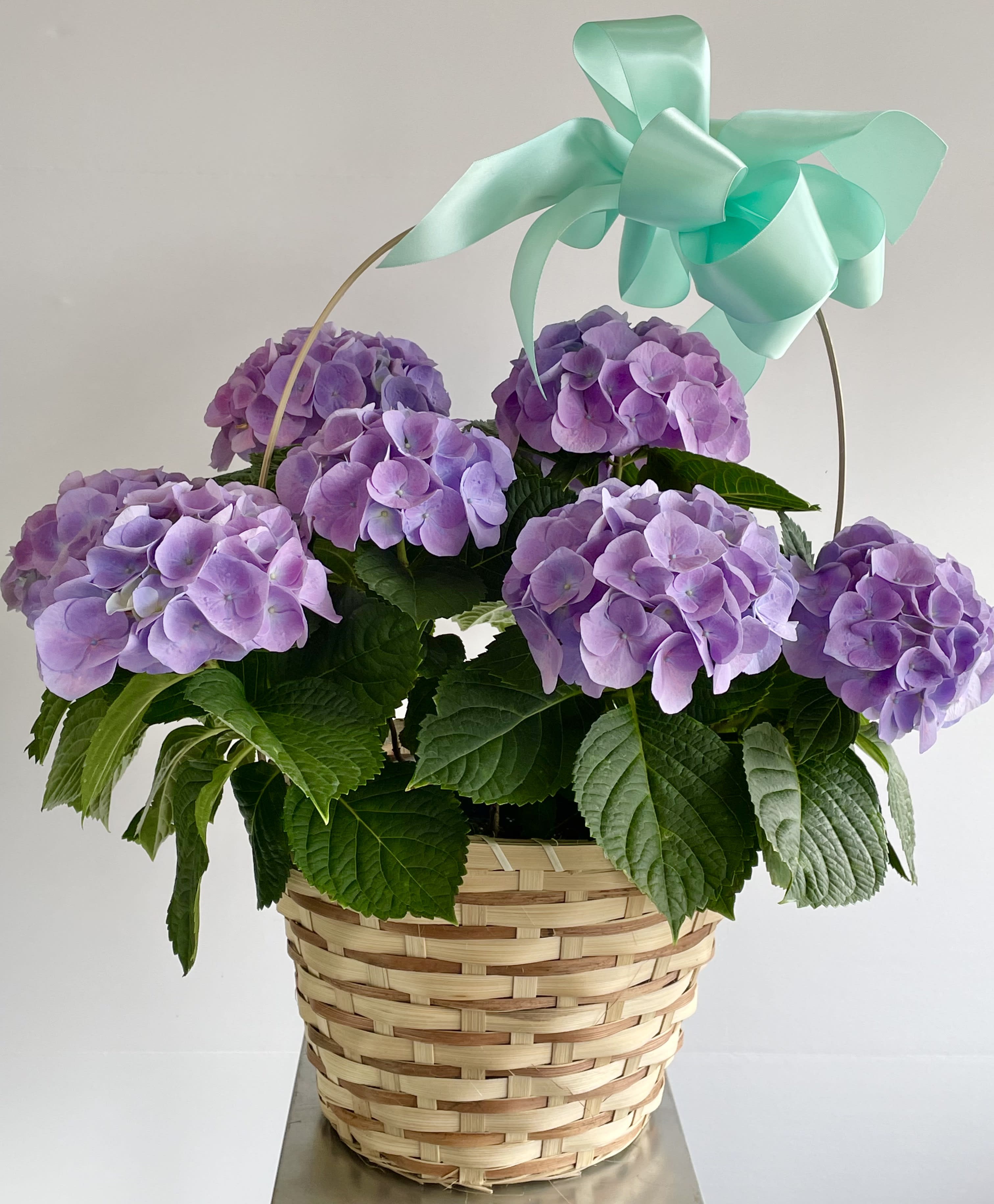 Hydrangea In Basket. An arrangement by Violeta's Flower Shop.