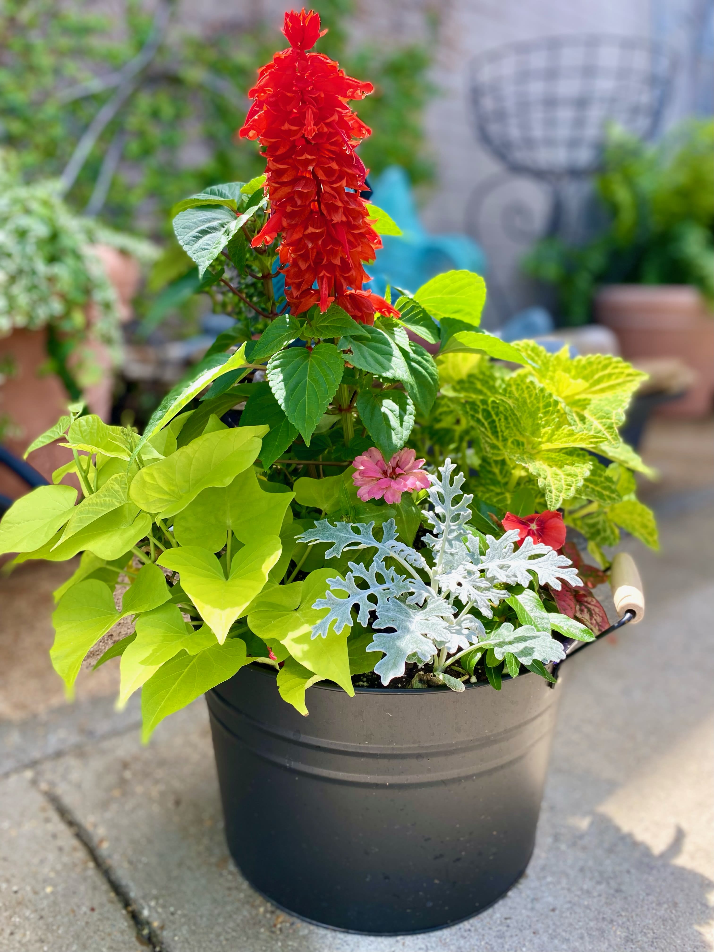 Patio Bucket Planter. An arrangement by Morgan Florist.