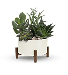 Mid Century Garden. An arrangement by Vaillant Florist.