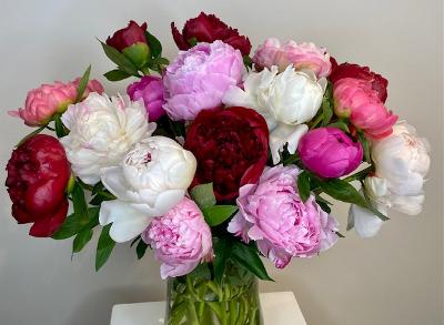 Passionate about Peonies. An arrangement by Flowerville.