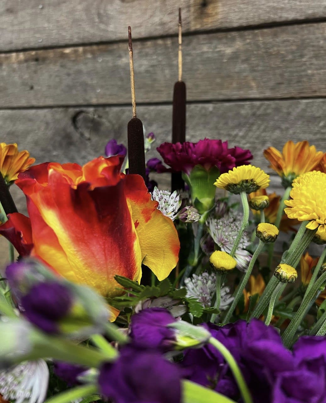 Designers Choice - Vivid Color. An arrangement by The Farm and Floral Market.