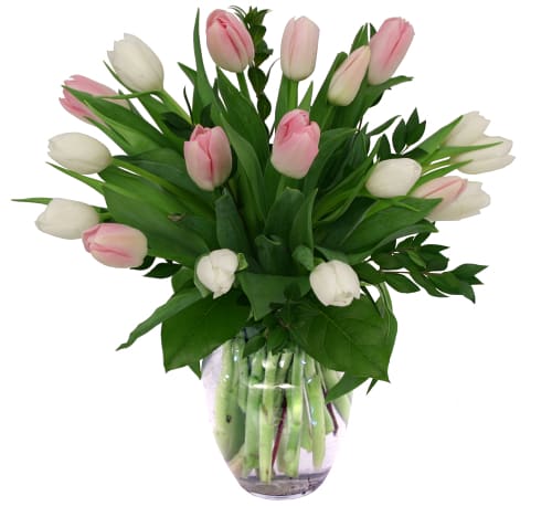 Pink and White Tulip Delight. An arrangement by Lori's Hearts and Flowers.