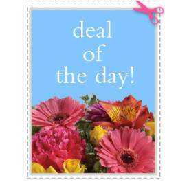 Original Deal of the Day. An arrangement by The Flower Boutique.