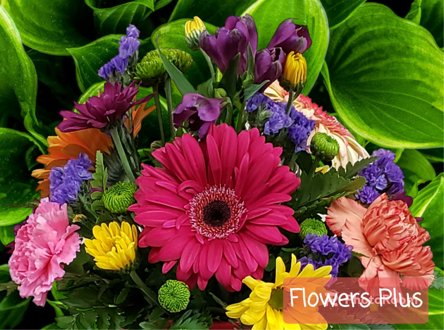Florist Choice Wrapped Seasonal Bouquet. An arrangement by Flowers Plus.