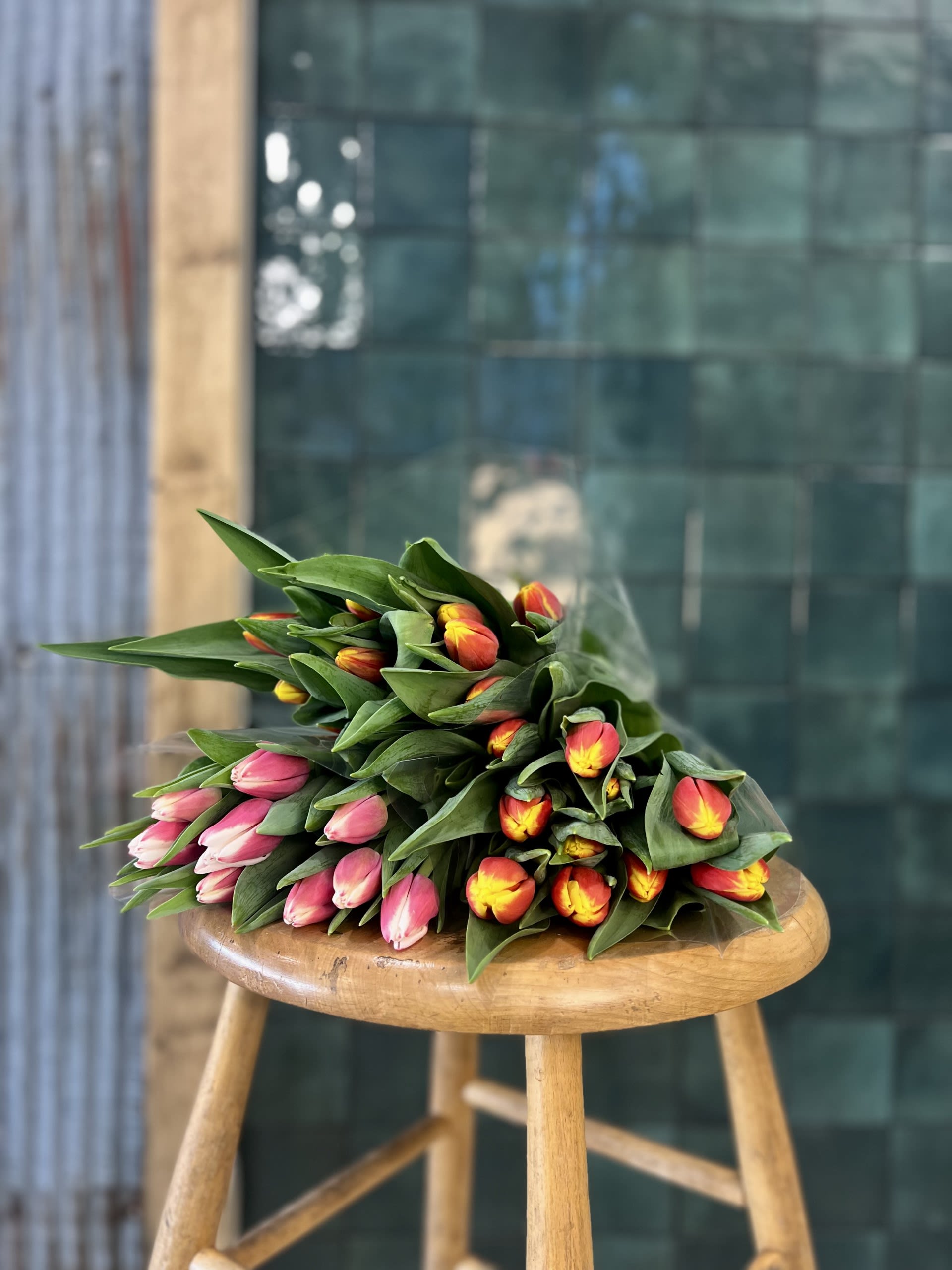 Designers Choice - Spring Tulips Designers Choice - Spring Tulips