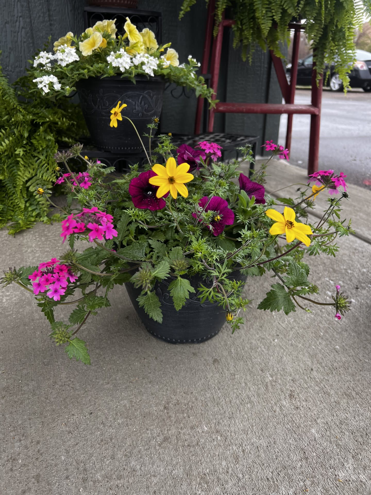 Outdoor Patio Pot