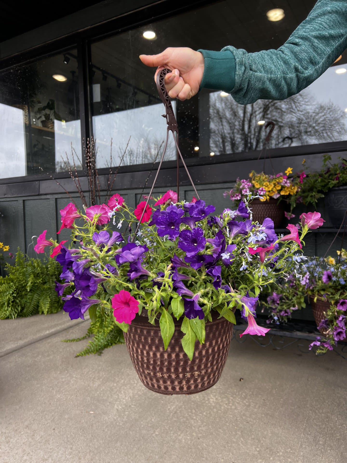 Blooming Hanging Basket