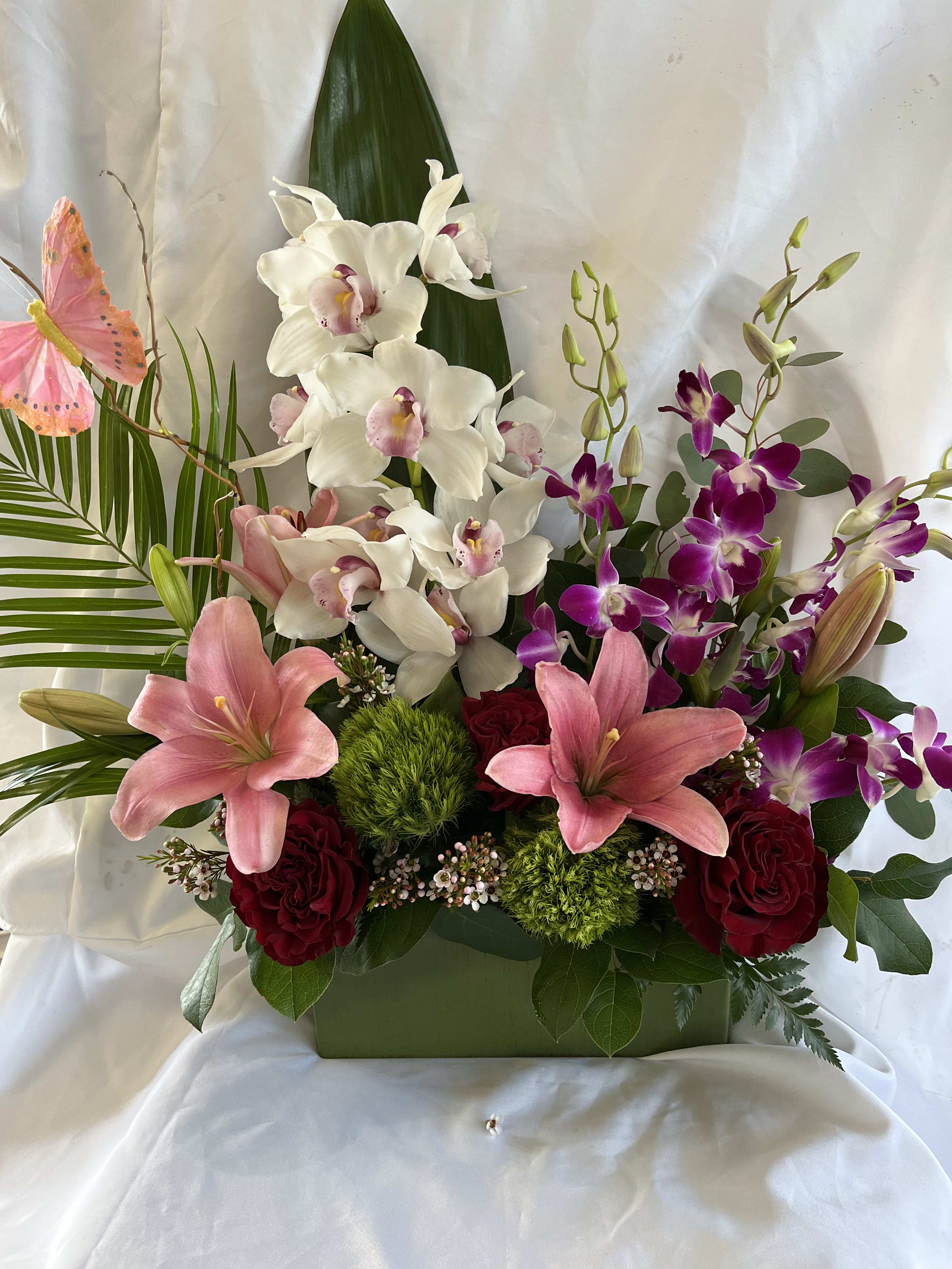 MOTHER'S DAY - ORCHID ARRANGEMENT