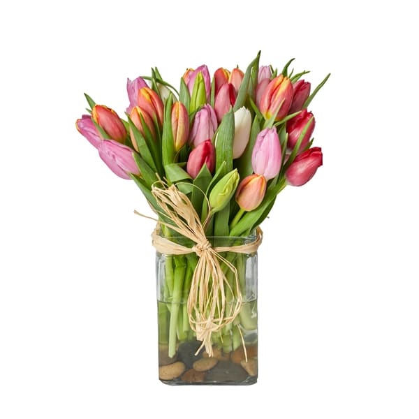 Ontario Fresh Cut Tulips in a vase.