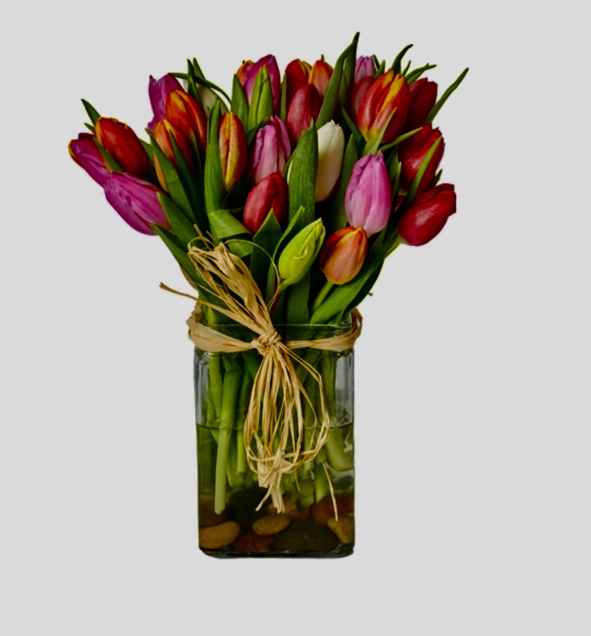 Ontario fresh cut Tulips with river rocks