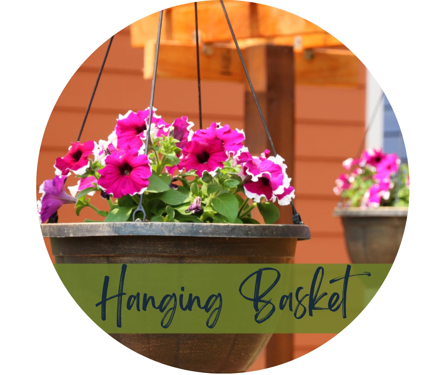 Colorful Outdoor Hanging Basket. An arrangement by North Liberty Flower Shop.