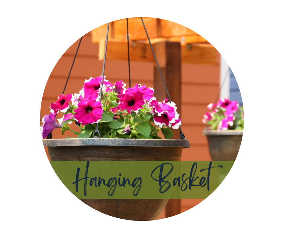 Bright & Colorful Outdoor Hanging Basket