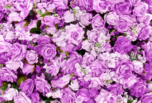 Purple Toned Handtied Bouquet - NO VASE Purple Toned Handtied Bouquet - NO VASE
