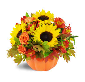 Pumpkin Patch *photo is visual inspiration*. An arrangement by Deer Valley Florist and Flower Delivery.