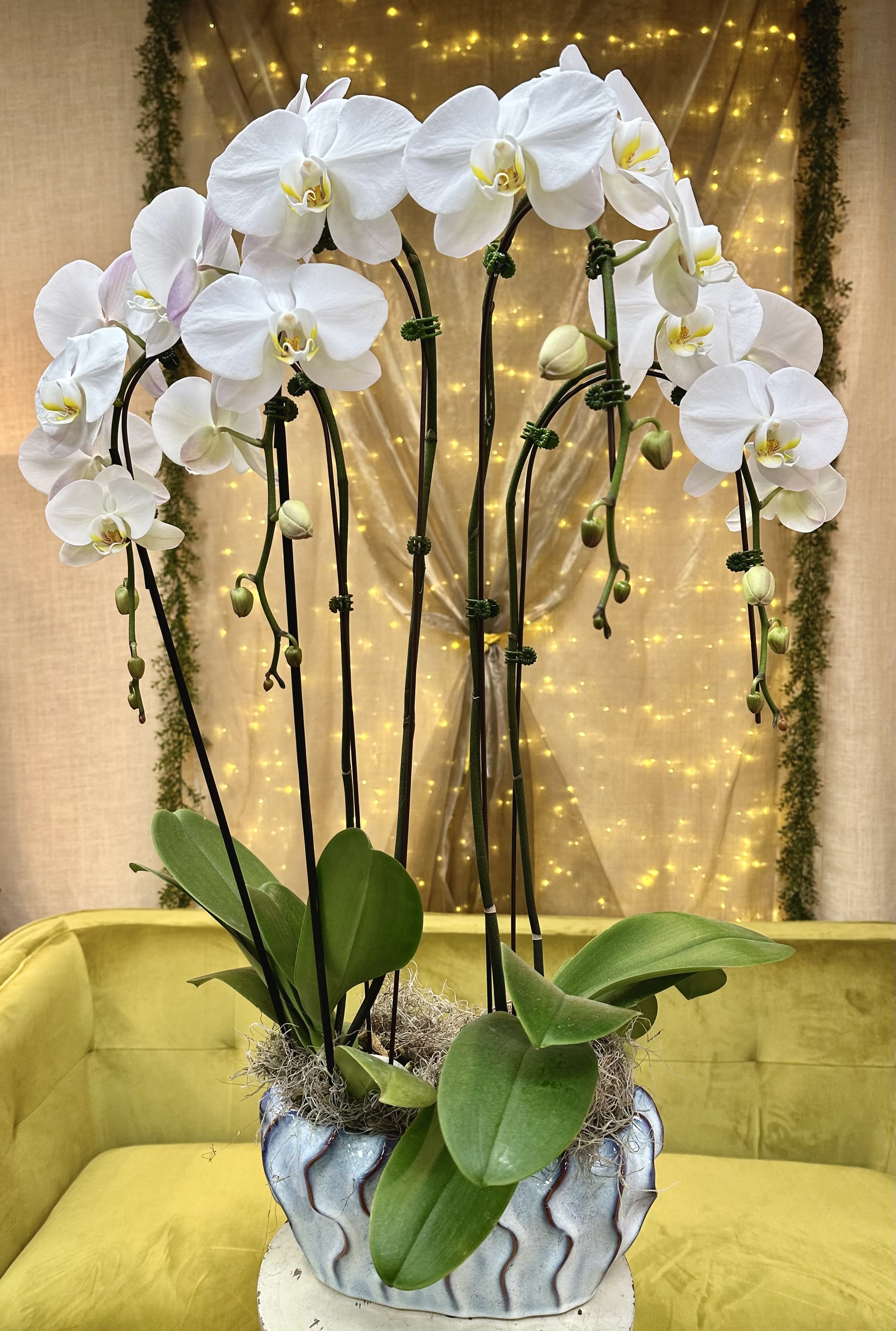 Cascading Love Blooms. An arrangement by Fellows Fernlea Flowers.