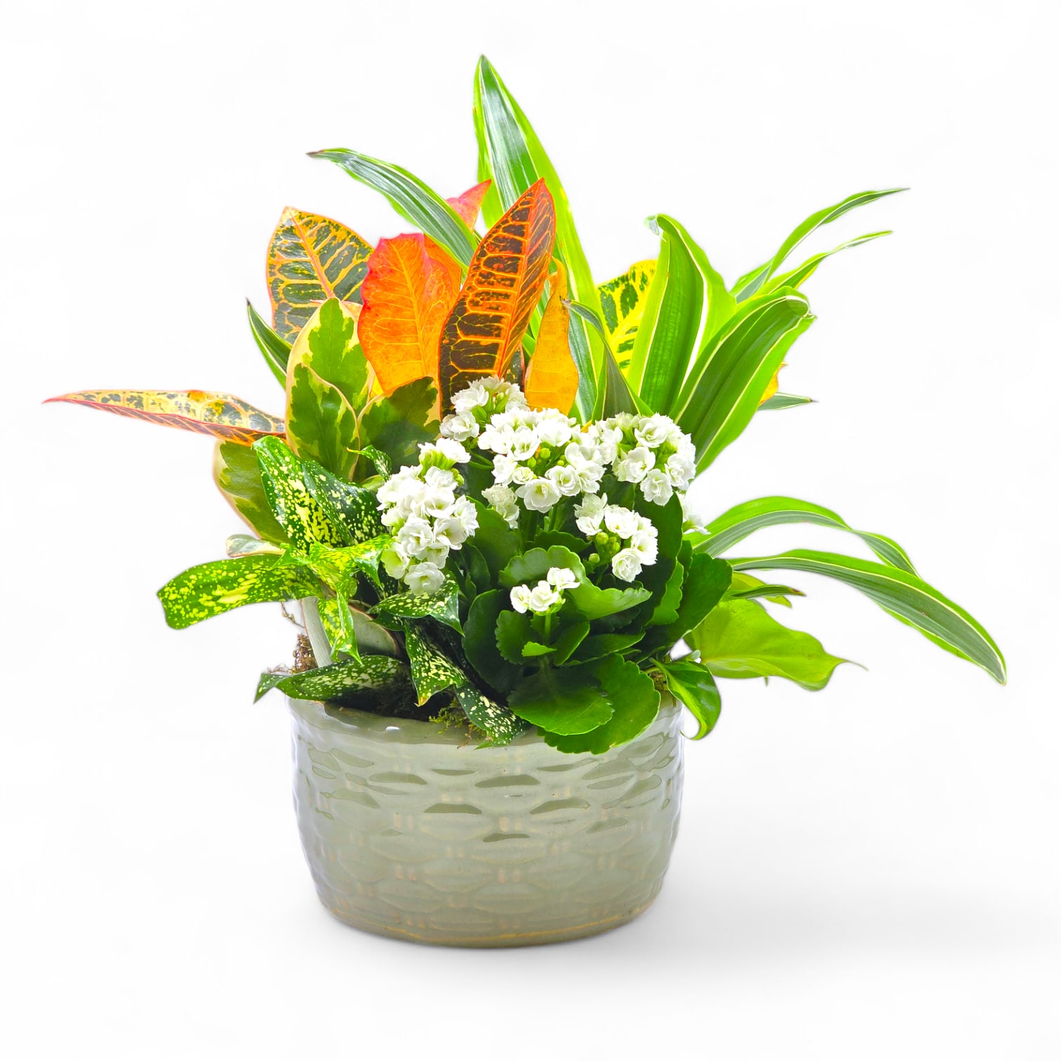 Serenity Planter Serenity Planter