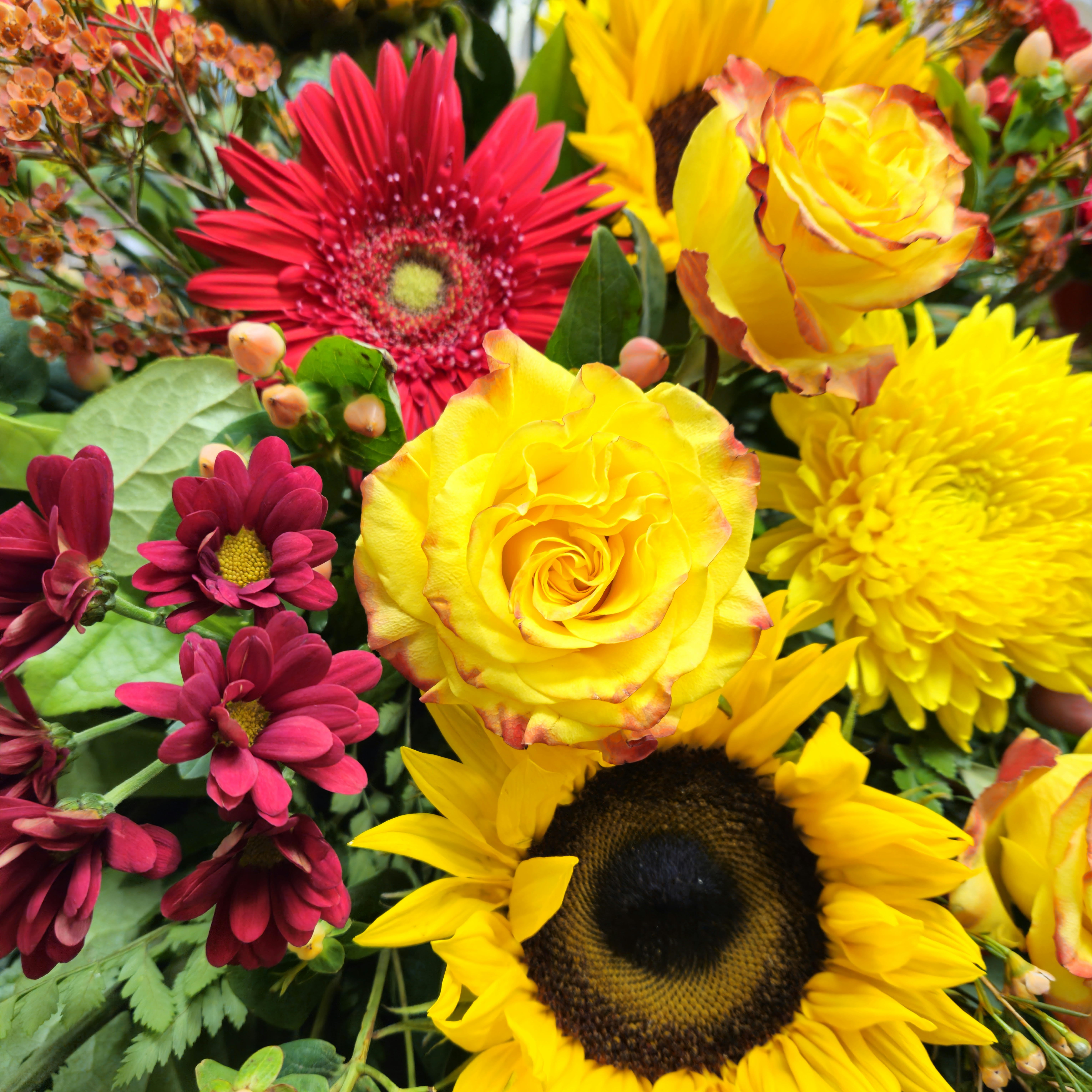 Fall Inspired Cut Flower Bouquet *Flowers may vary. An arrangement by Flower Trends Florists.