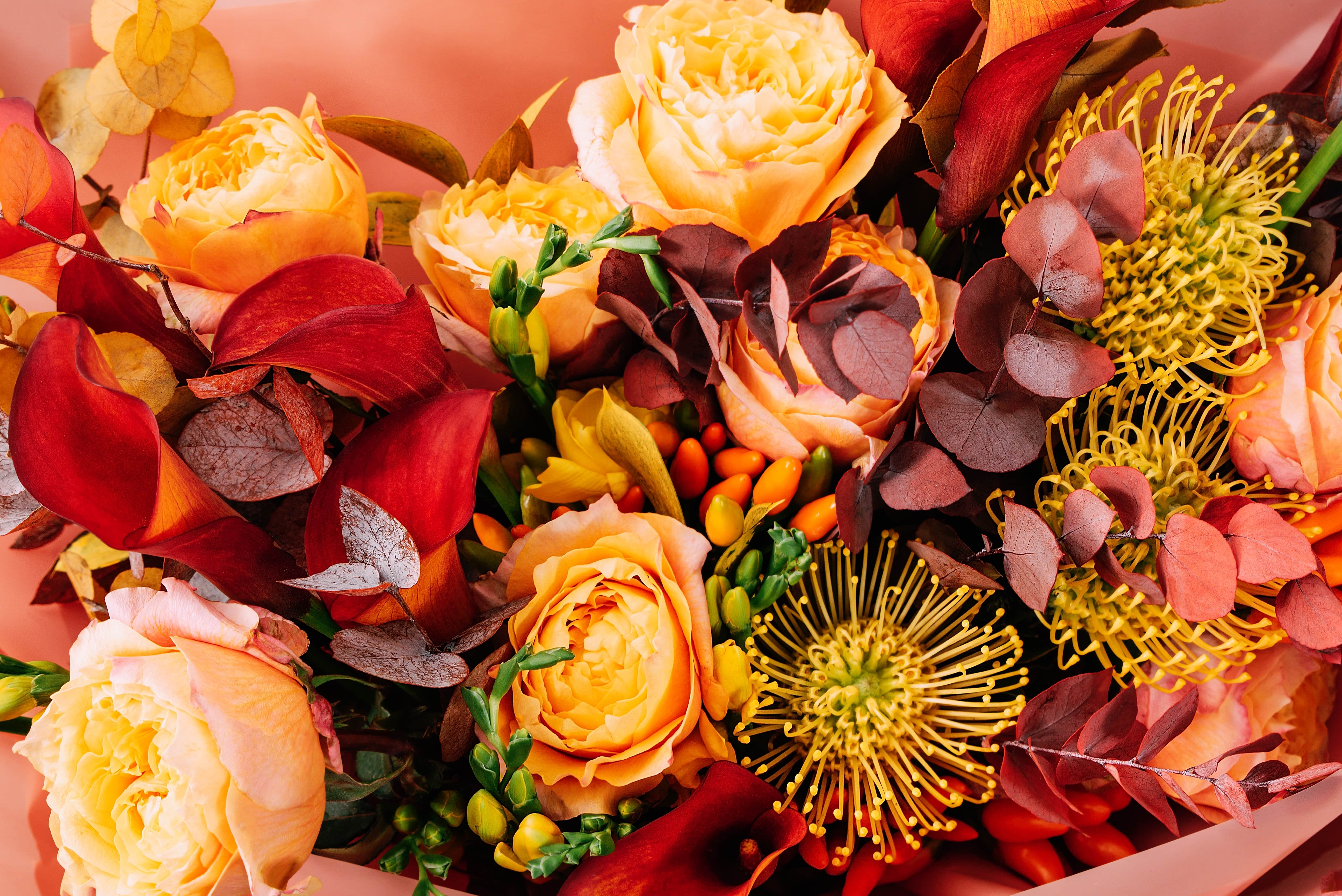 florist Choice for Autumn. An arrangement by Tangled Lilac Flowers and Gifts. florist Choice for Autumn. An arrangement by Tangled Lilac Flowers and Gifts.