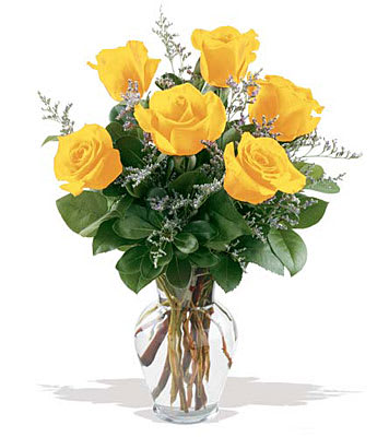 6 Yellow Roses. An arrangement by Flowers n Things.