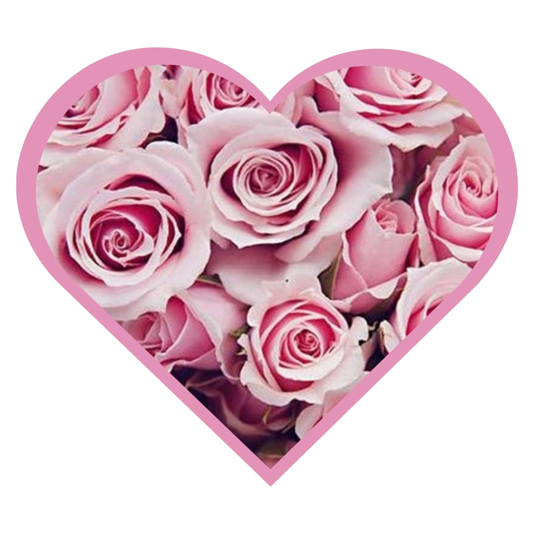 One Dozen Pink Rose Bouquet. An arrangement by Appleblossoms Flowers, Gifts and More.