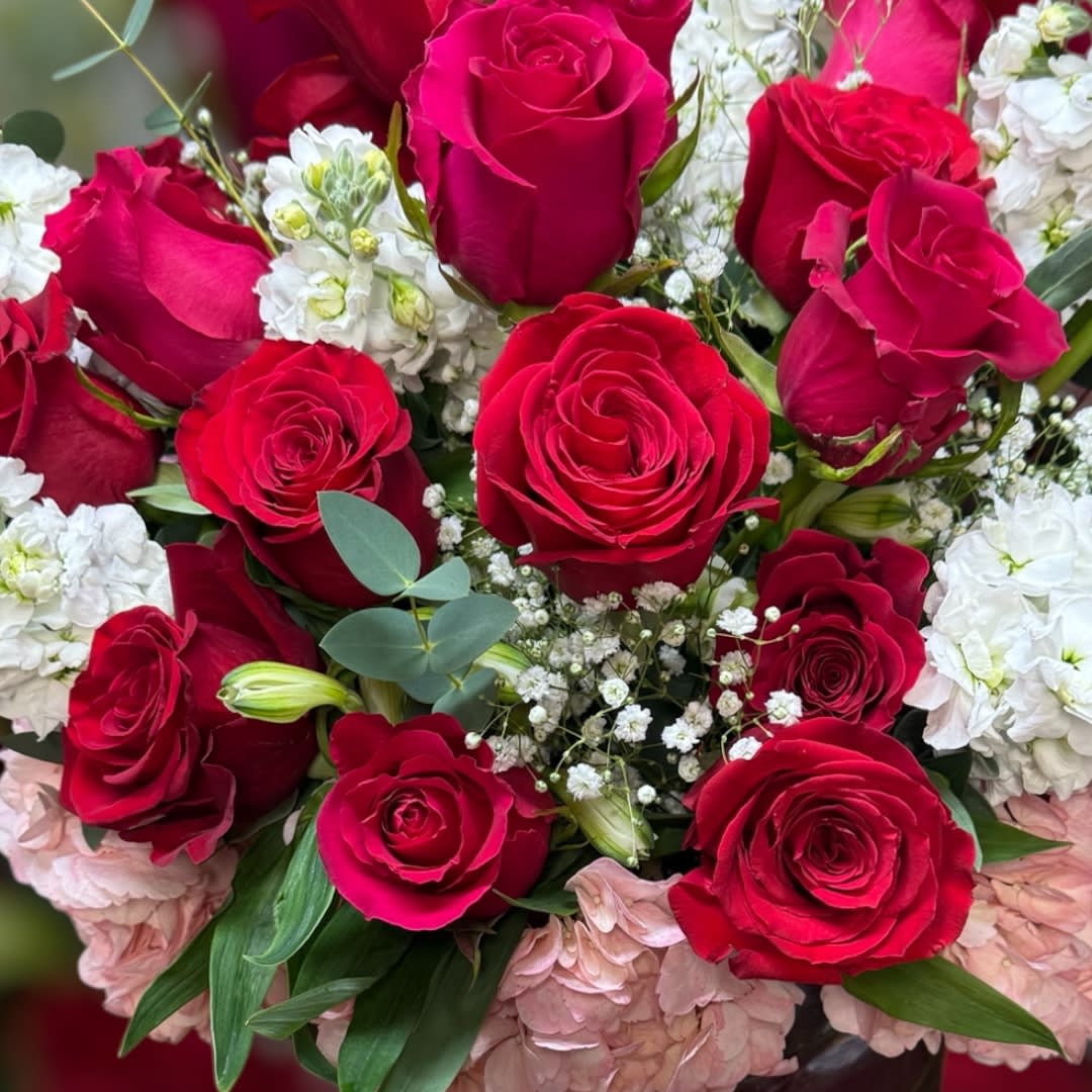 Valentine Designers Choice - Classic. An arrangement by Vanessa's Flower Shop.