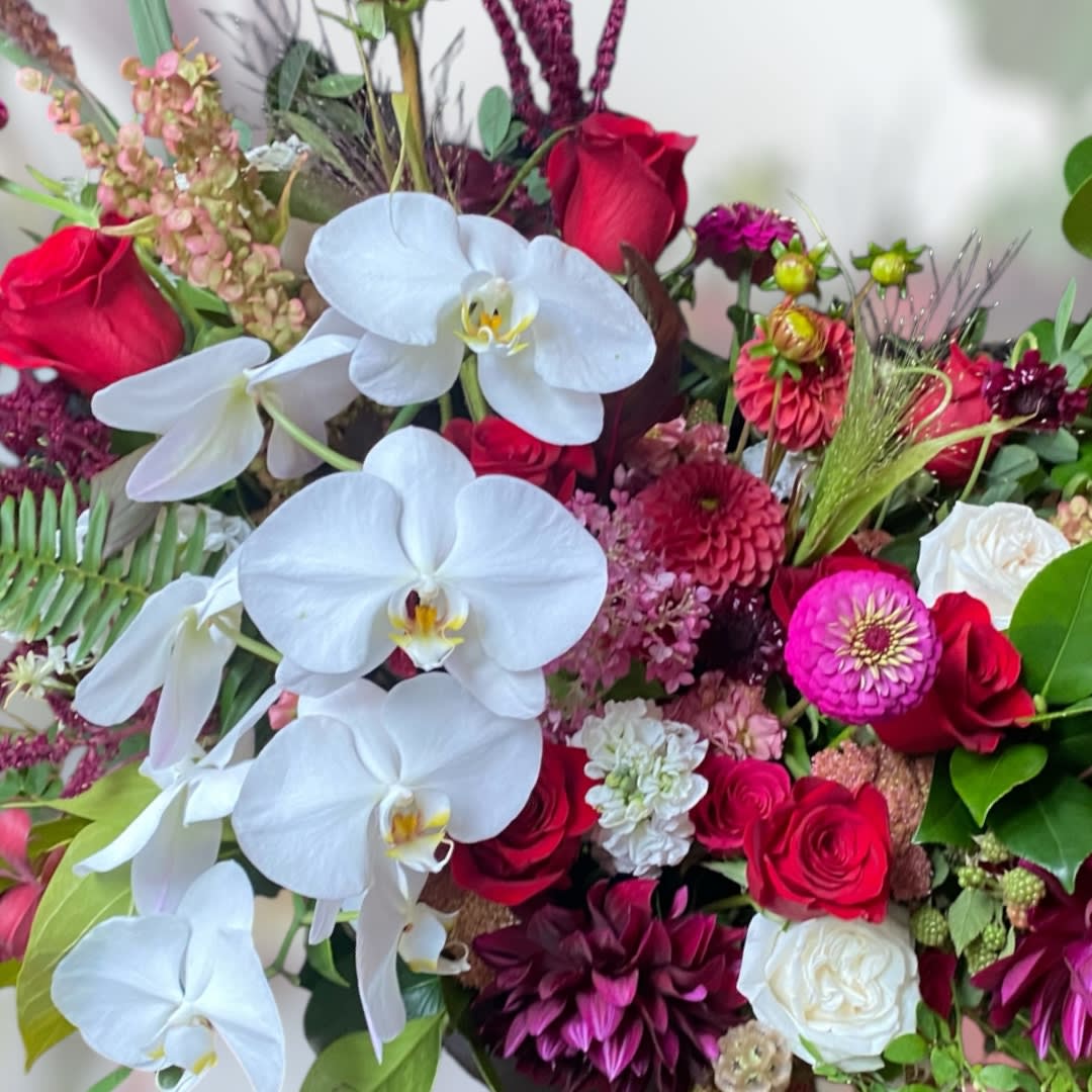 Valentine Designers Choice - Luxury. An arrangement by Vanessa's Flower Shop.