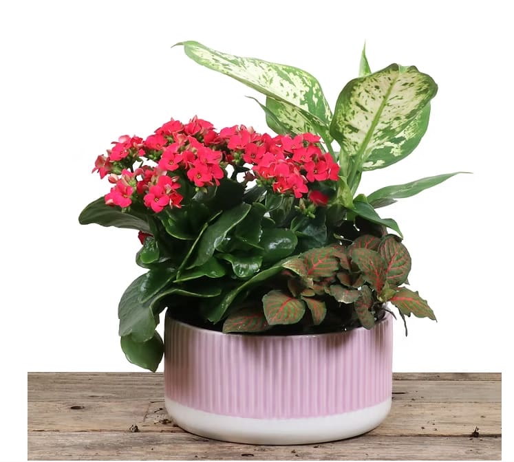 7" round planter 7" round planter