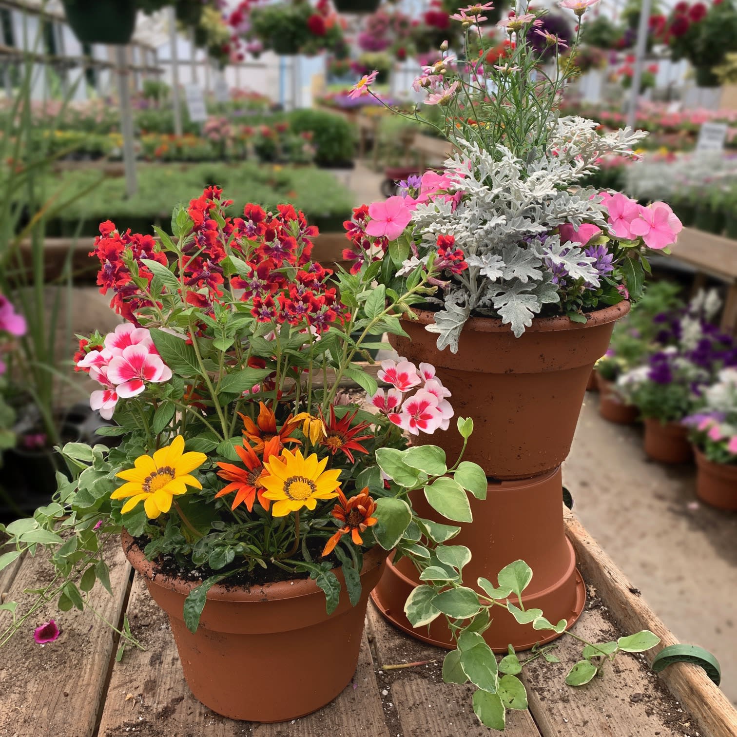 10 Mixed Patio Pot. An arrangement by Colonial Gardens Florist And Greenhouses.
