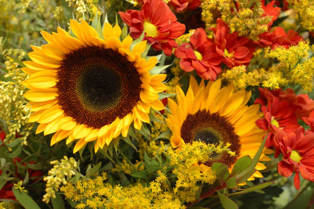 Autumn Seasonal Handtied Bouquet - NO VASE -. An arrangement by Deer Valley Florist and Flower Delivery.