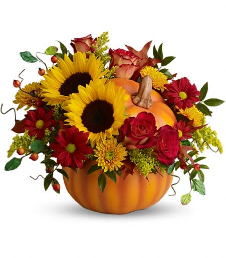 Pumpkin Patch Radiance. An arrangement by Cincyfloralnista.
