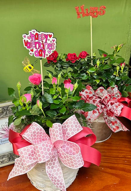 Garden of Love. An arrangement by Sunny Day Blossoms Design Studio.