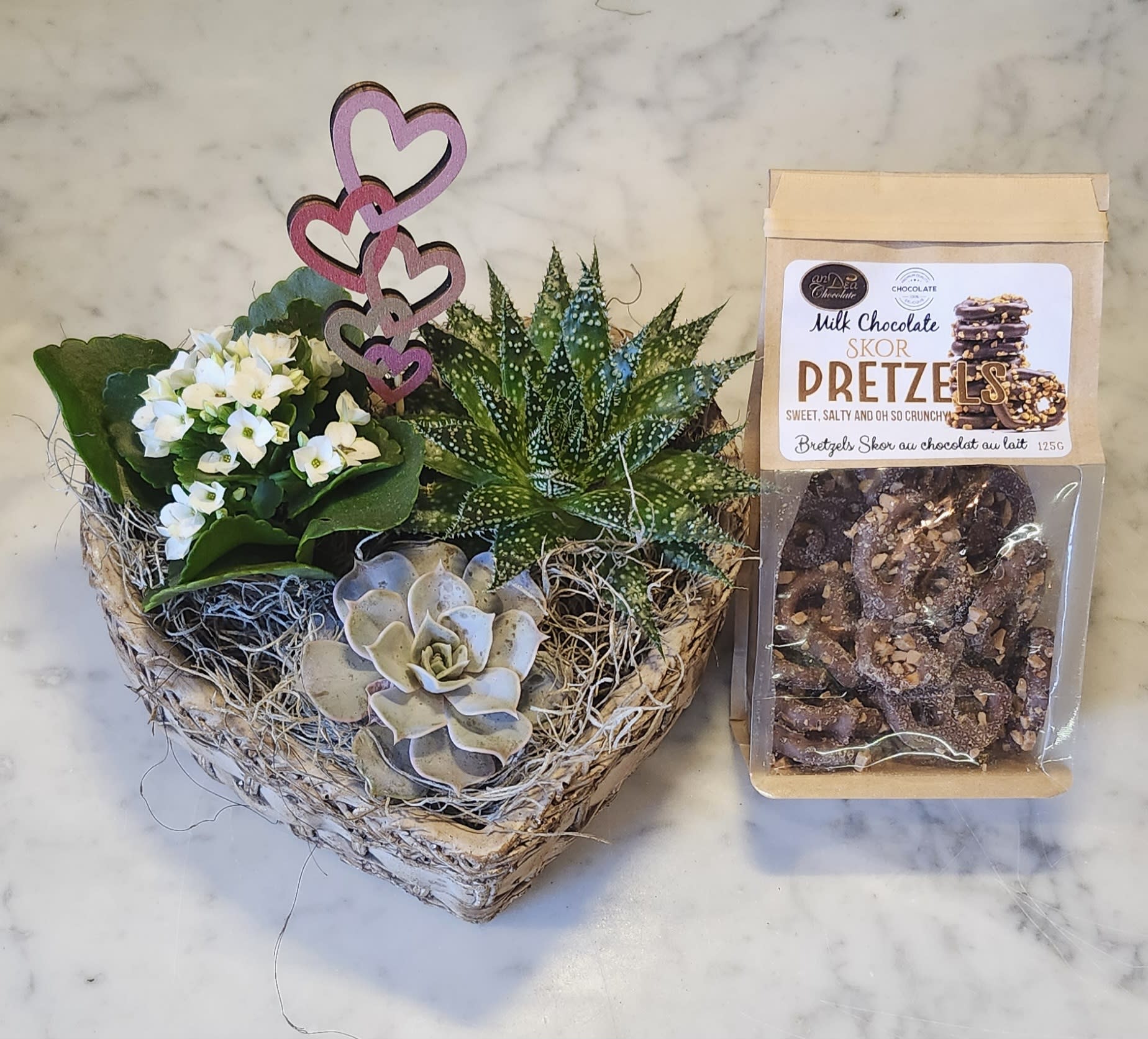 By Design Succulent and Sweets Duo. An arrangement by Flowers By Design.