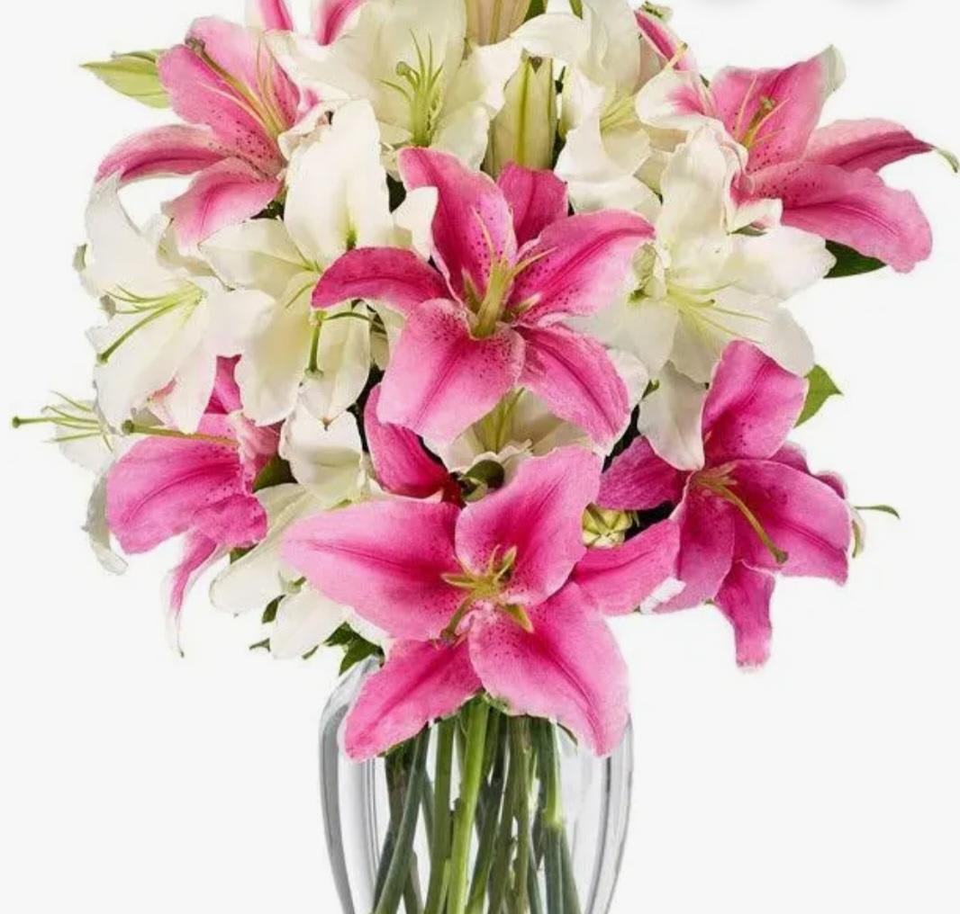 Lillies for you. An arrangement by Abundant Flowers and Gift Shoppe.