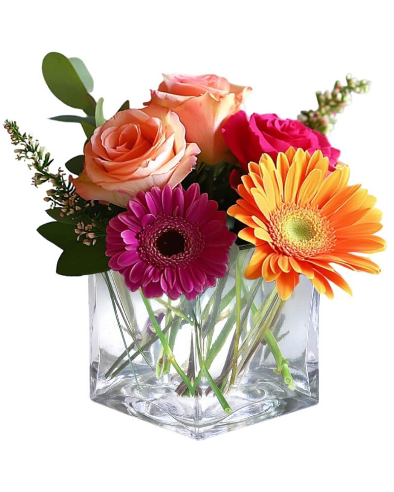 Sunshine Melody-Cat Friendly. An arrangement by Deer Valley Florist and Flower Delivery.