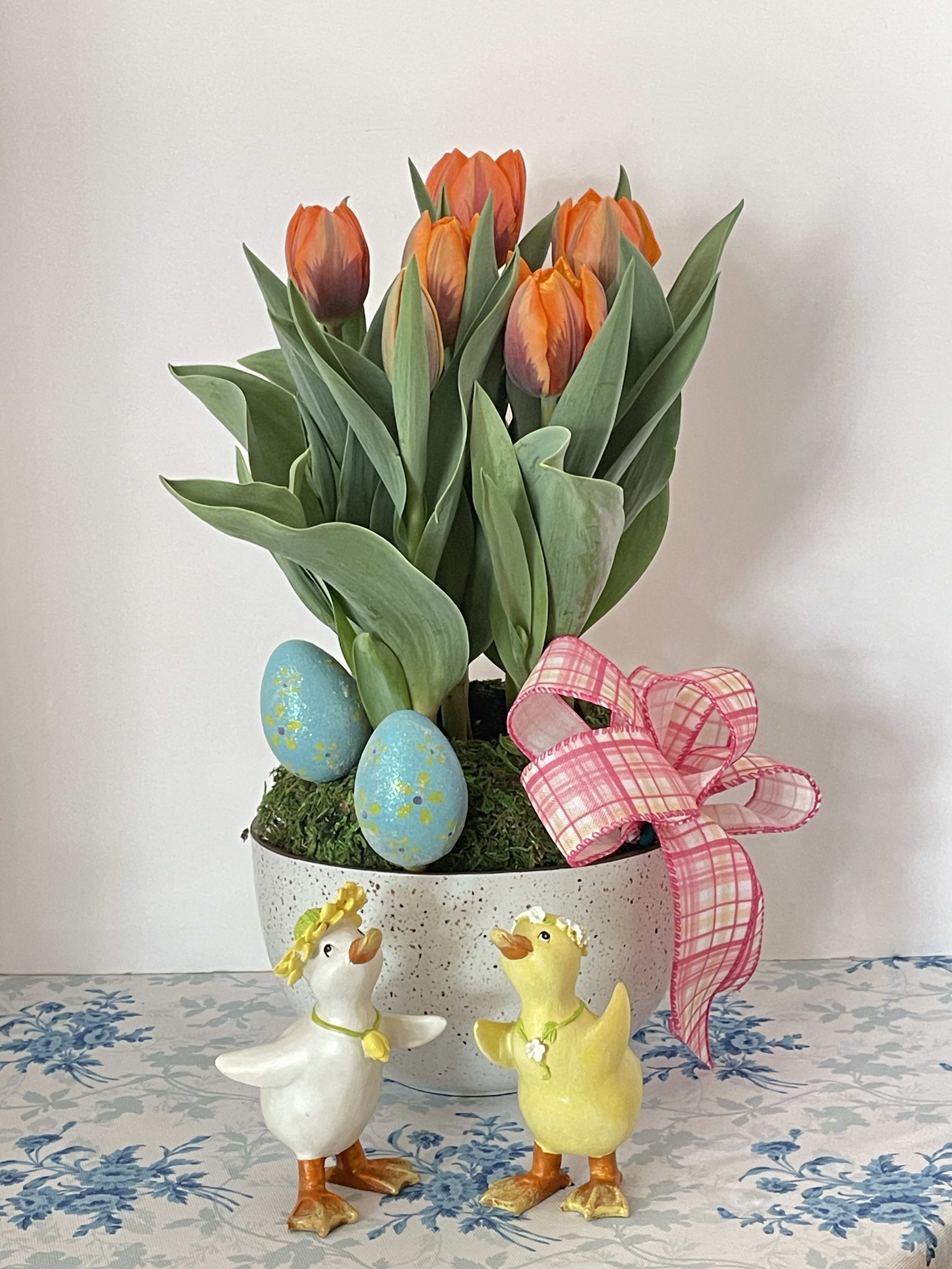 Tulip Bulbs. An arrangement by Violeta's Flower Shop.